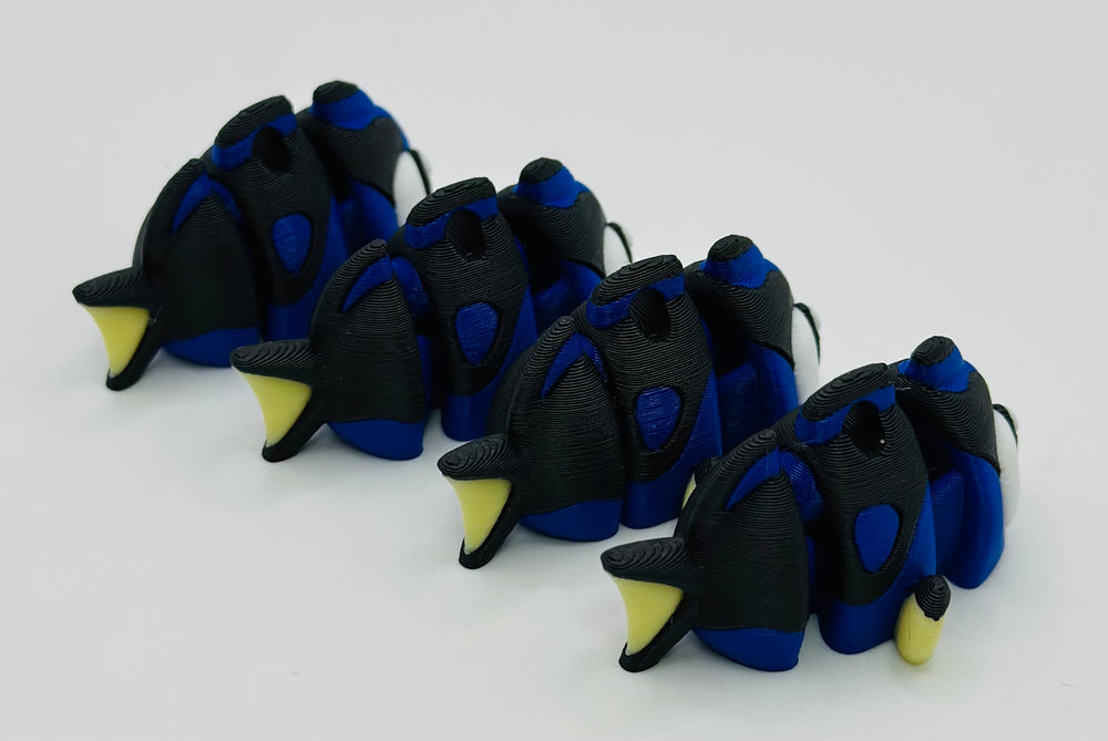 Regal Blue Tang Mini Flexi